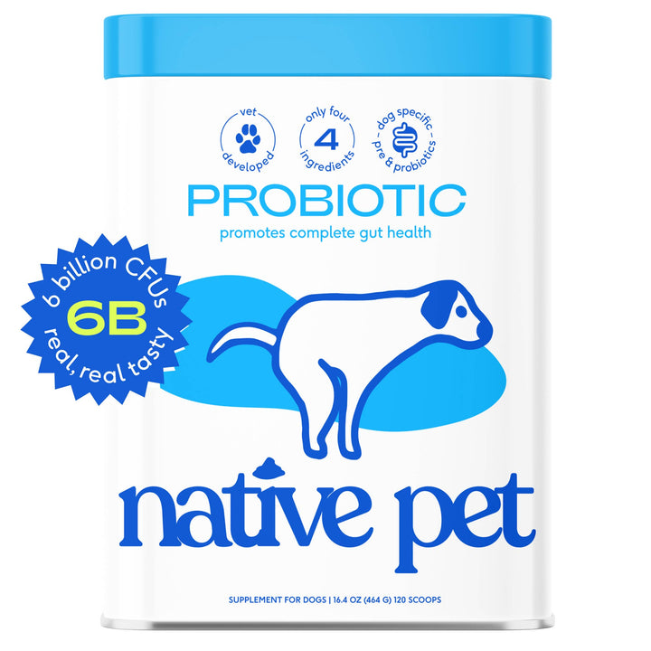 Probiotic & Prebiotic Powder Vet-Formulated Supplement: 8.2 oz