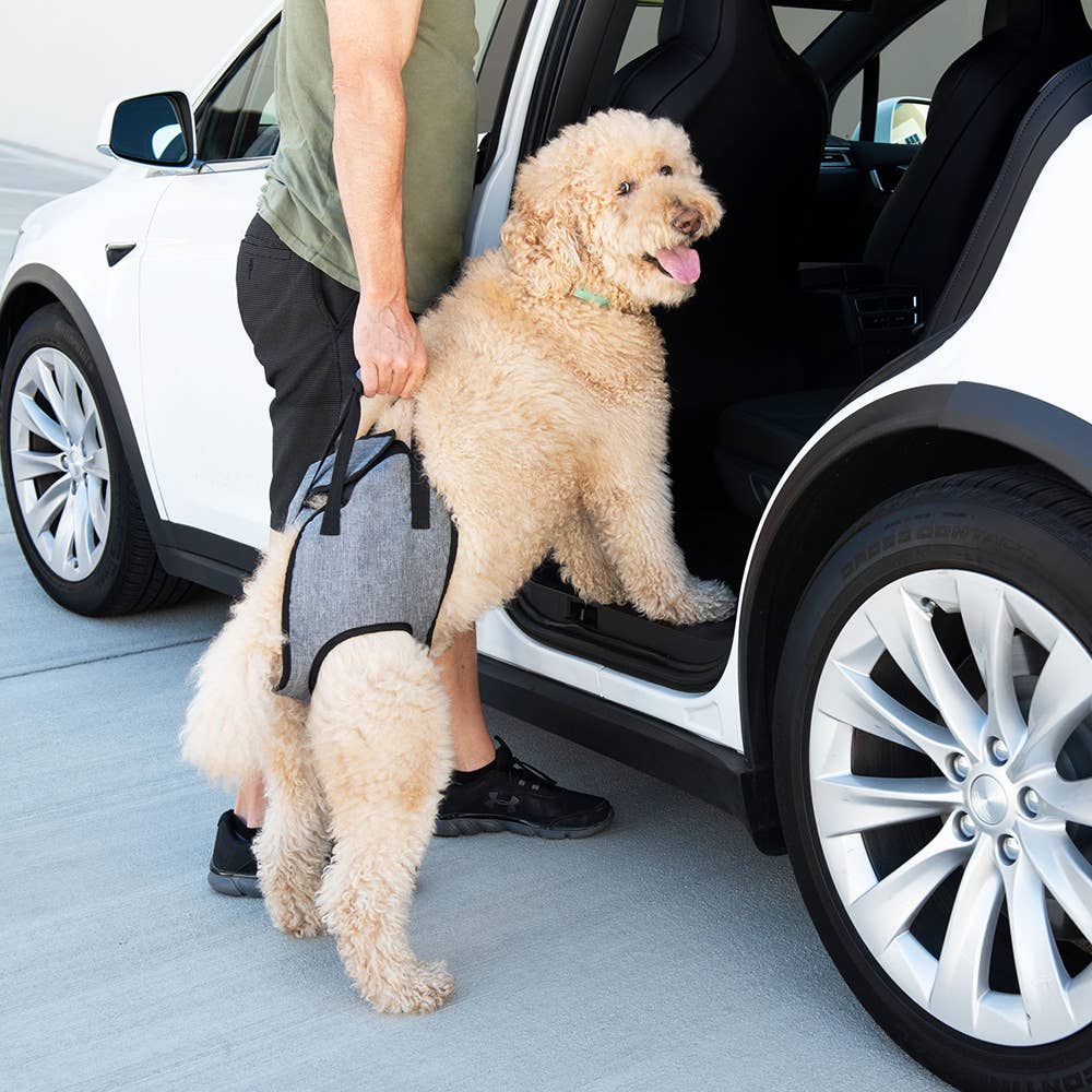 Adventure - Support Dog Lift Harness