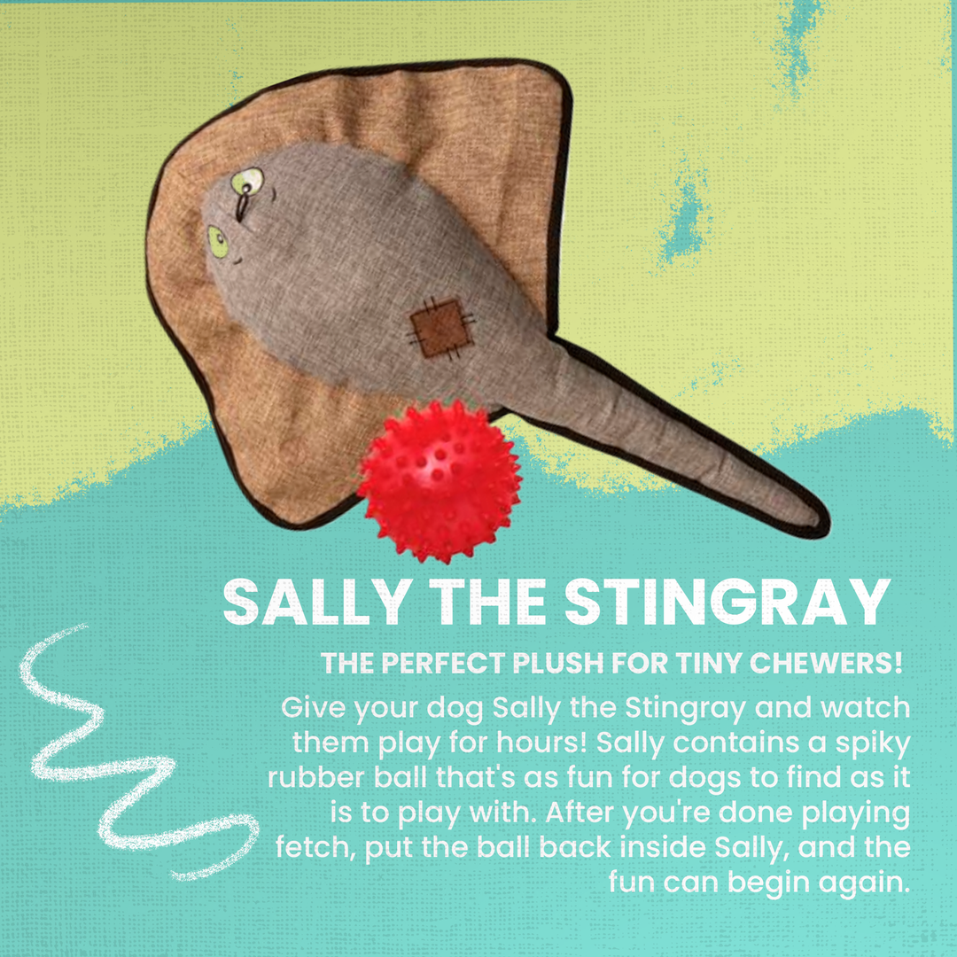Sally the Stingray