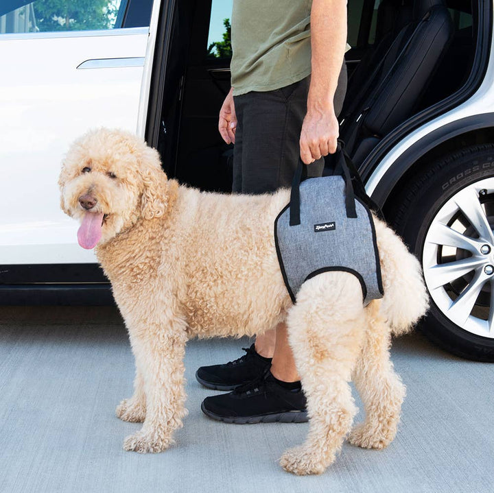 Adventure - Support Dog Lift Harness