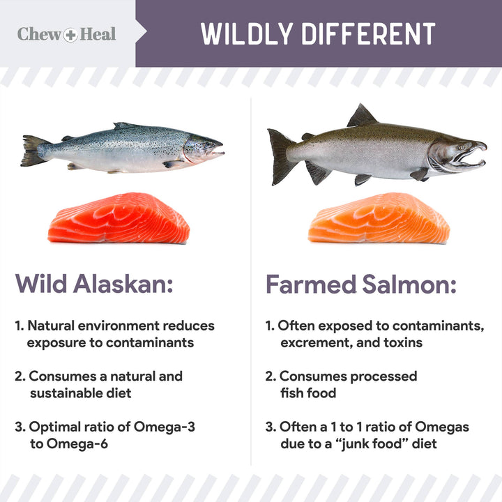 Senior Wild Alaskan Salmon Limited Ingredient Dog Treats: 5oz
