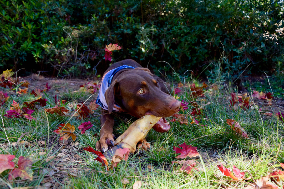 Dogginstix Beef Feet Trotter Chews