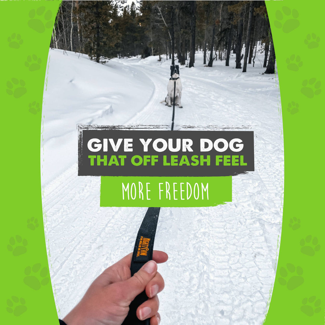 Long Dog Leash: 30 feet