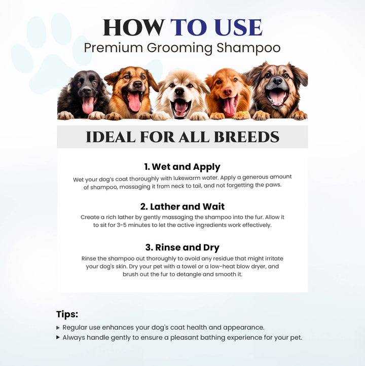 Premium Blue Ribbon Shampoo Deodorizer
