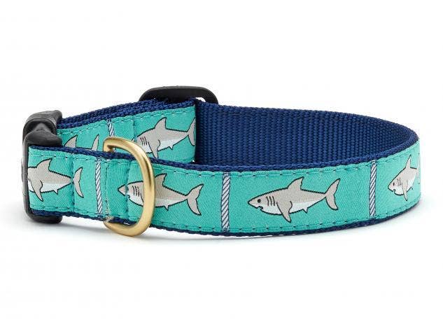Shark Dog Collar: Small / Wide