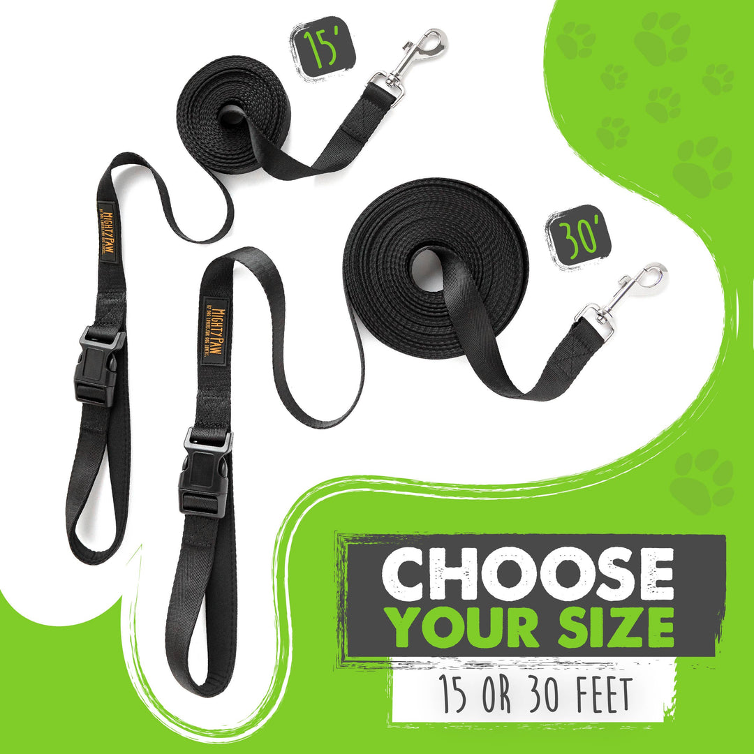 Long Dog Leash: 15 feet