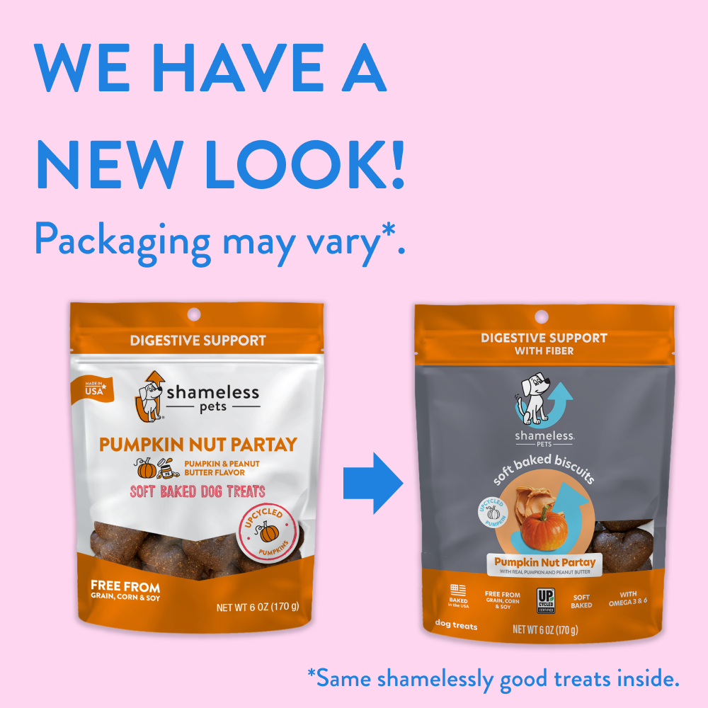 Shameless Pets Pumpkin Nut Par-tay