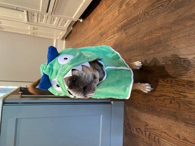 BoxDog Monster Bathrobe - L