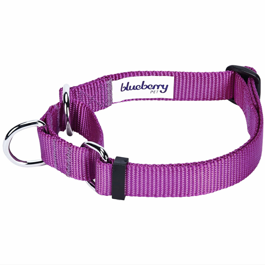 Blueberry Pet Martingale - True Navy - L