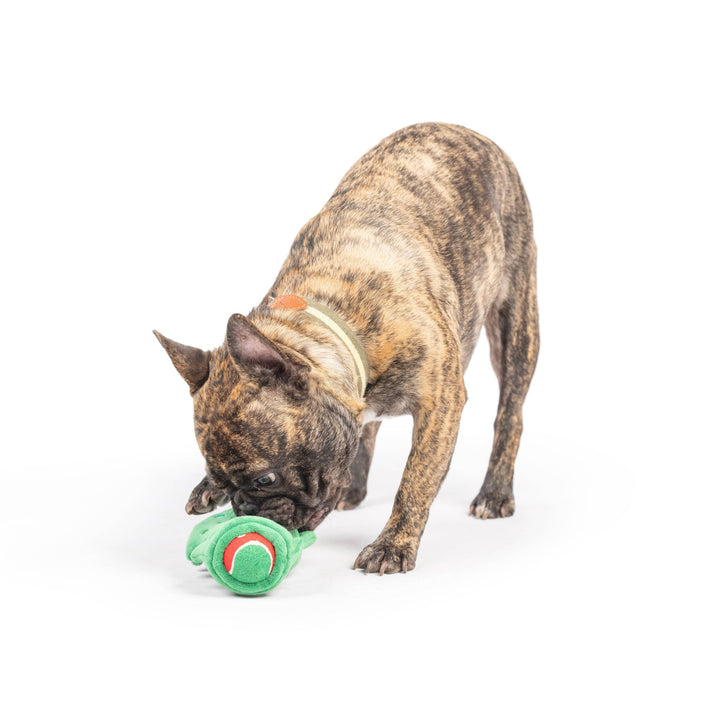 Squeak 'n Peek Christmas Tree Dog Toy: One Size
