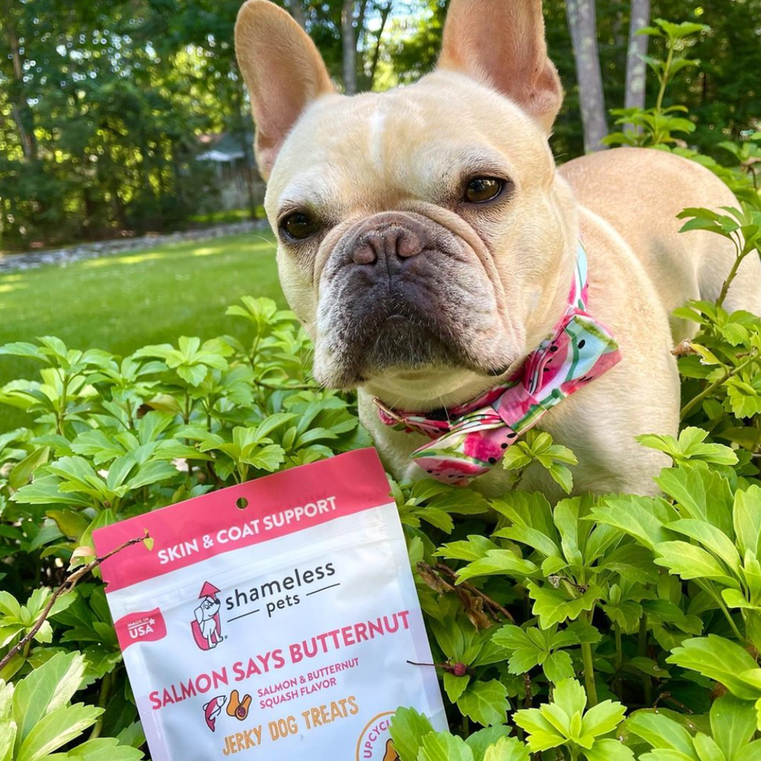 Shameless Pets Salmon Loves Butternut Jerky