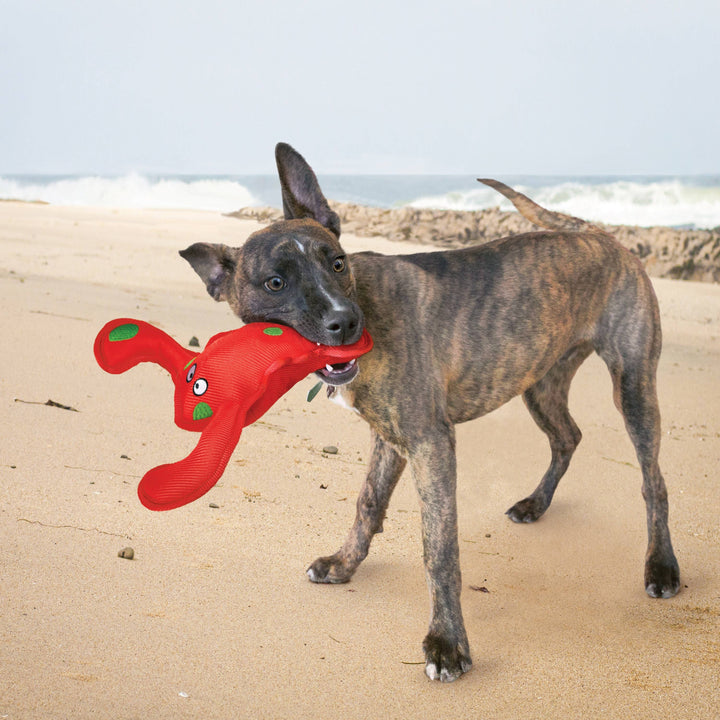 KONG® Belly Flops Lobster