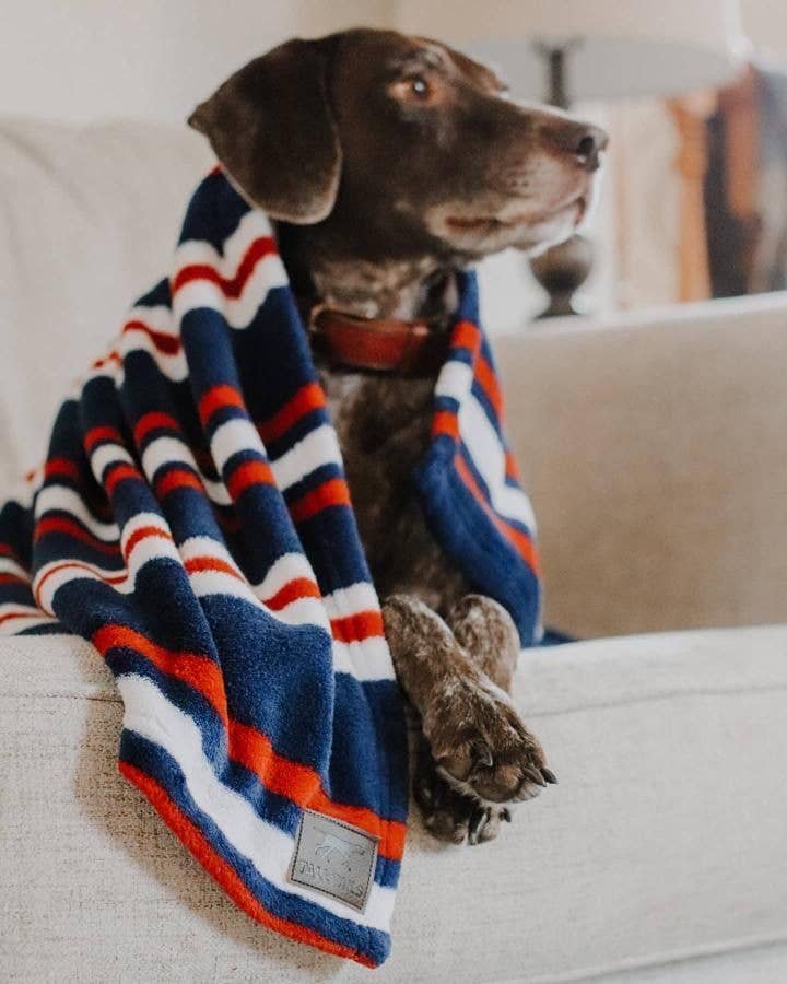 Tall Tails - 30" x 40" Nautical Stripe Blanket