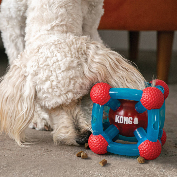 KONG Rewards Tinker Toy