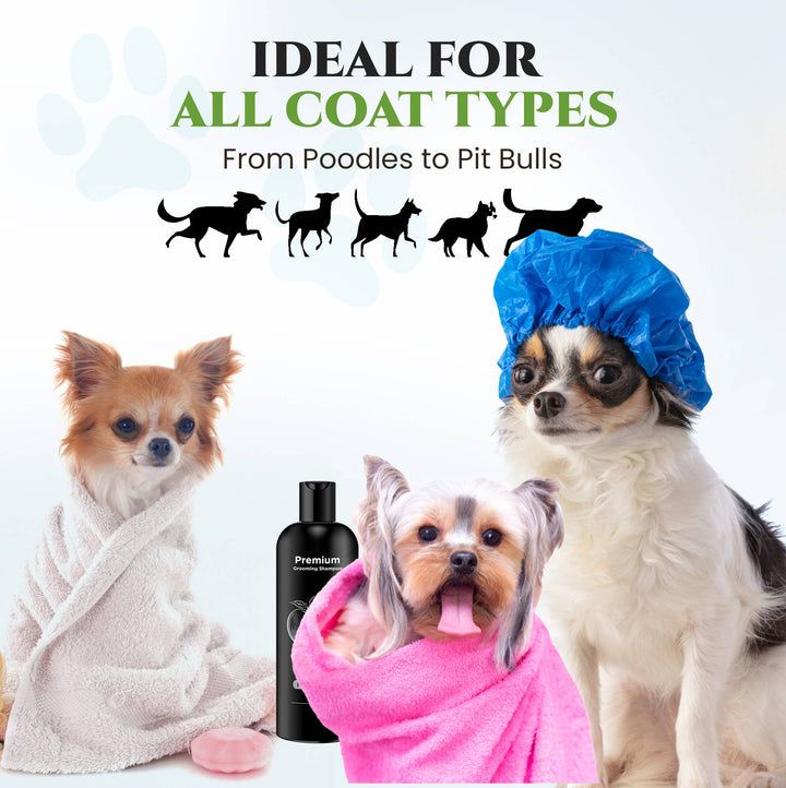 Premium Fresh Apple Shampoo Deodorizer