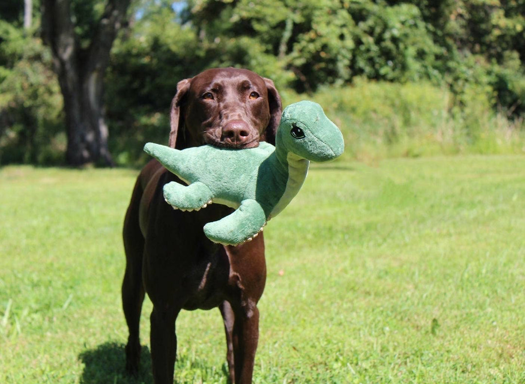 Tall Tails - Nessie Squeaky 13"