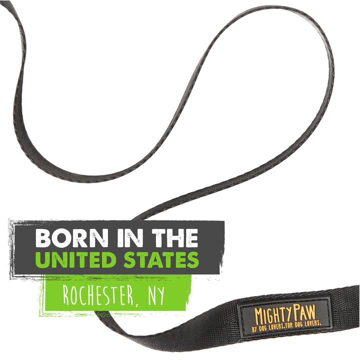 Long Dog Leash: 15 feet