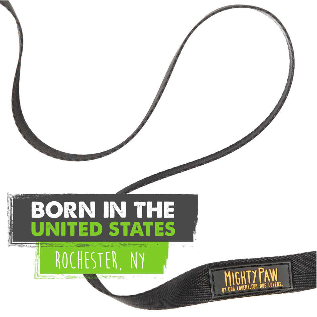 Long Dog Leash: 30 feet