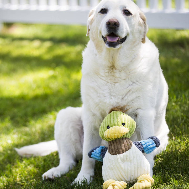 Dilly Duck Knottie® Plush Dog Toy: Large