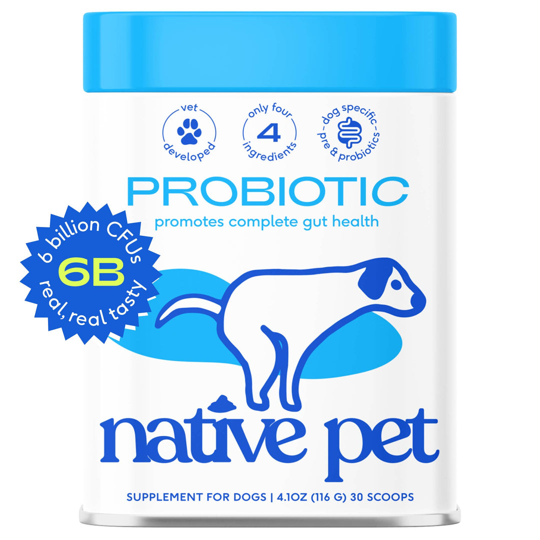 Probiotic & Prebiotic Powder Vet-Formulated Supplement: 8.2 oz