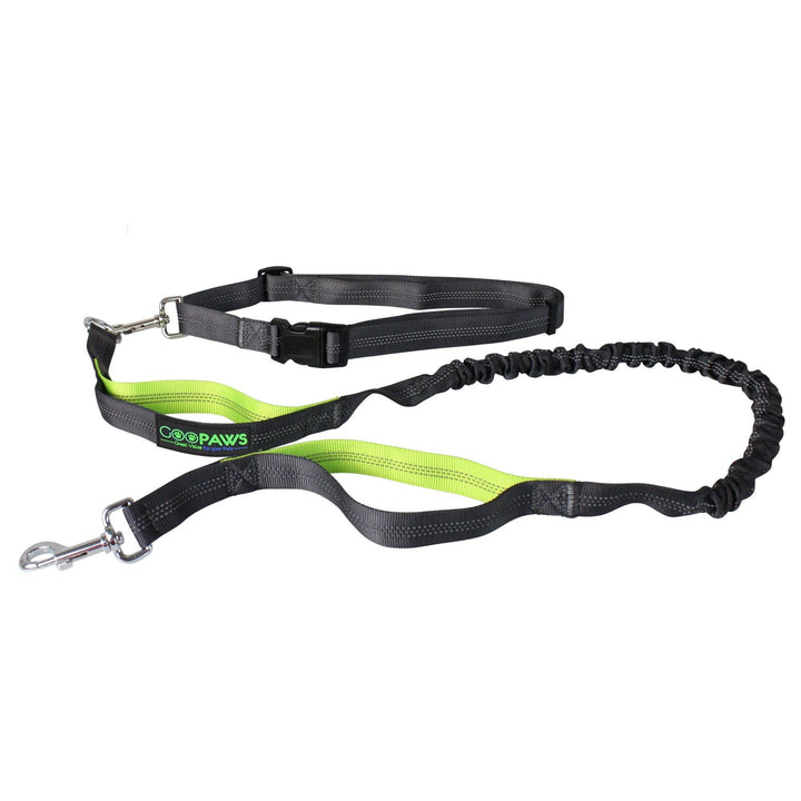 GOOPAWS No Pull Hand Free Bungee Leash, Green