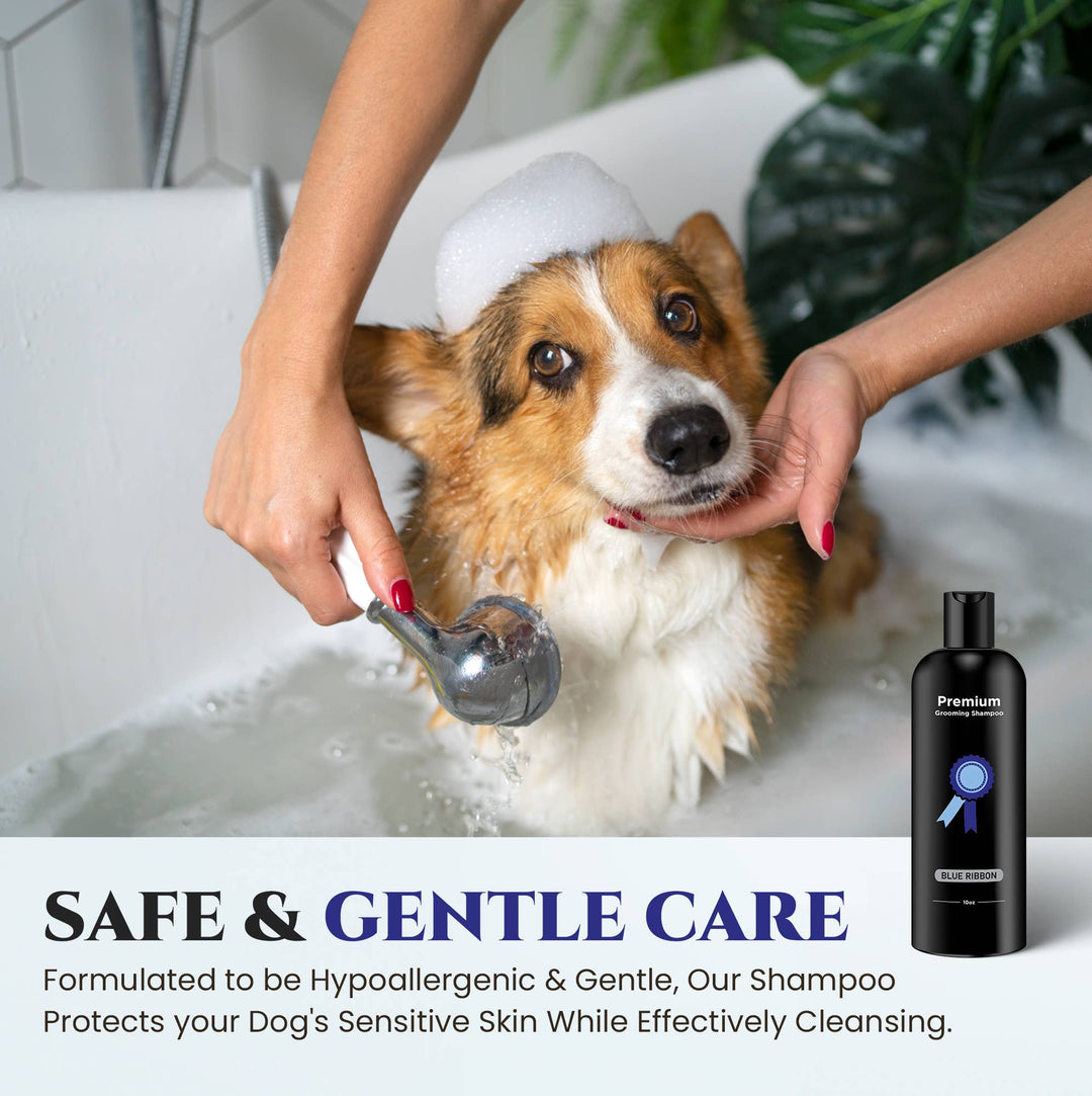 Premium Blue Ribbon Shampoo Deodorizer