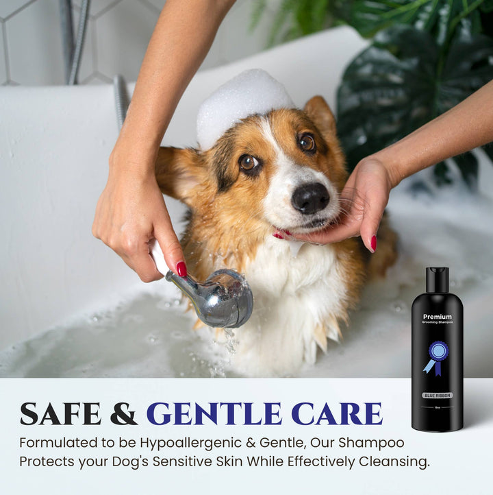 Premium Blue Ribbon Shampoo Deodorizer