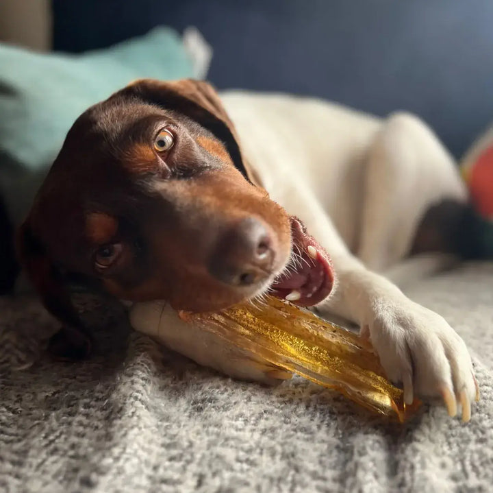 Mighty Marrows Collagen Dental Chew - Spirulina Beef - SM/LG: Large