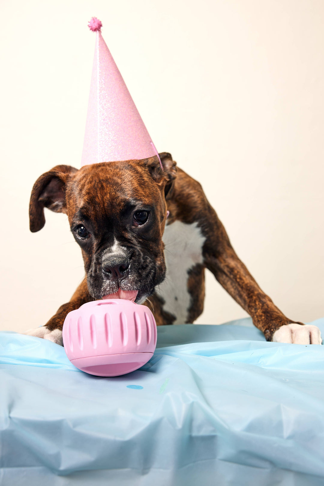 Woof - Pupsicle - Pink L