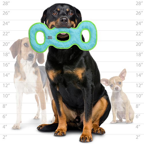 DuraForce 3 Way Tug - Blue/Green, Durable, Squeaky Dog Toy