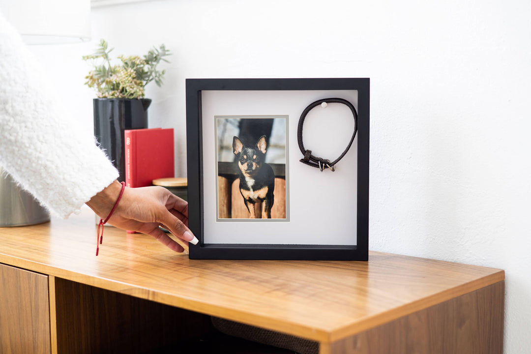 Pet Collar Picture Frame, Black