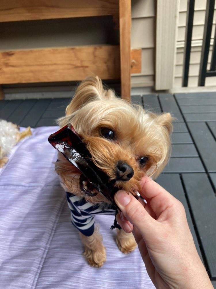 Mighty Marrows Collagen Dental Chew - Spirulina Beef - SM/LG: Large