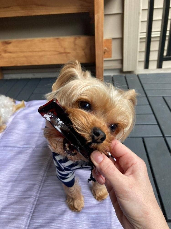 Mighty Marrows Collagen Dental Chew - Spirulina Beef - SM/LG: Large