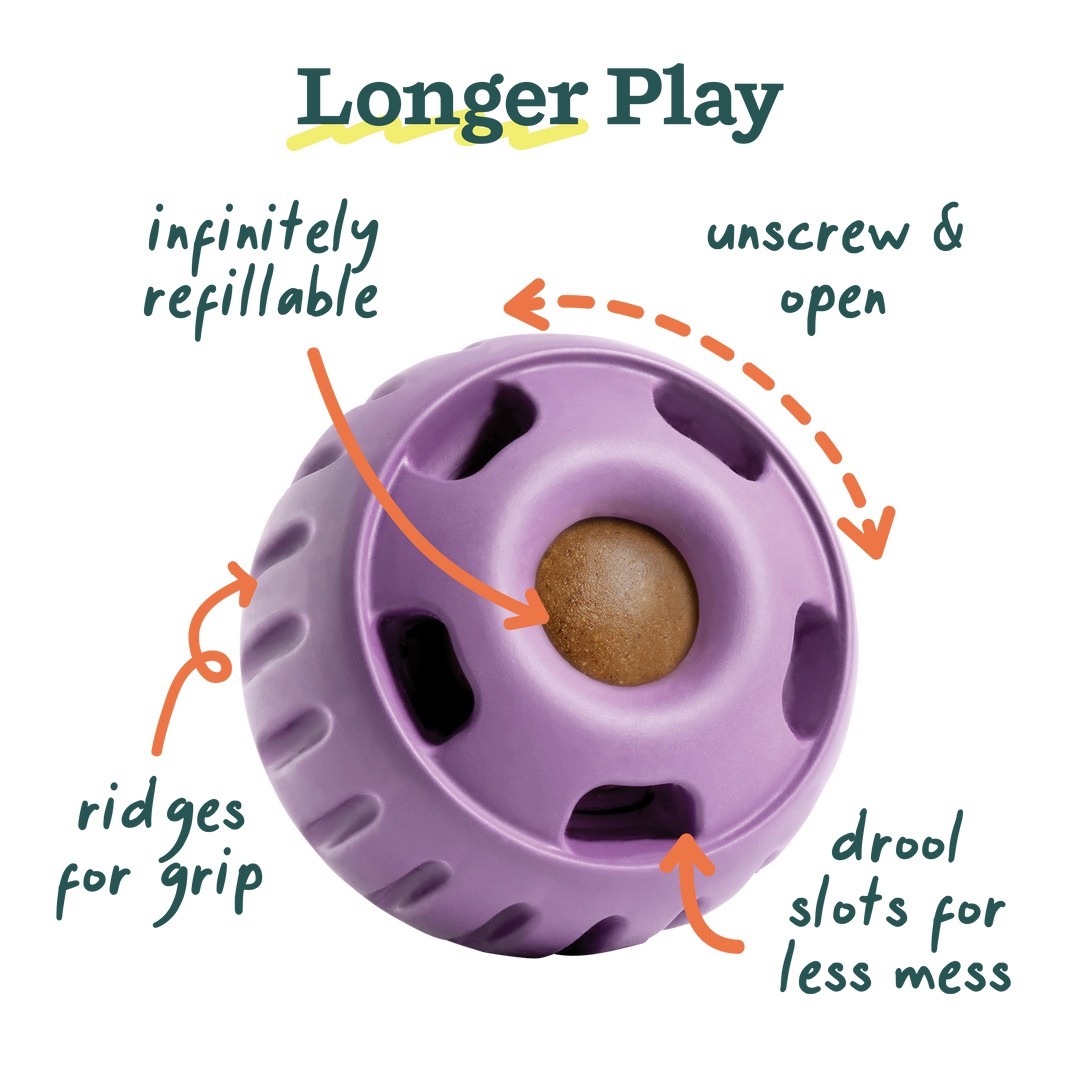 The Pupsicle - Lavender: Large