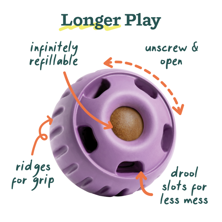 The Pupsicle - Lavender: Large