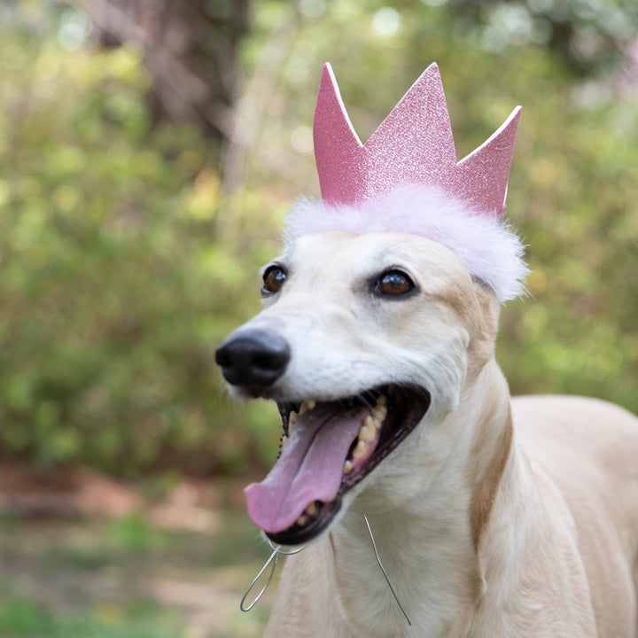 Party Crown Pink with SnugFit®: Small