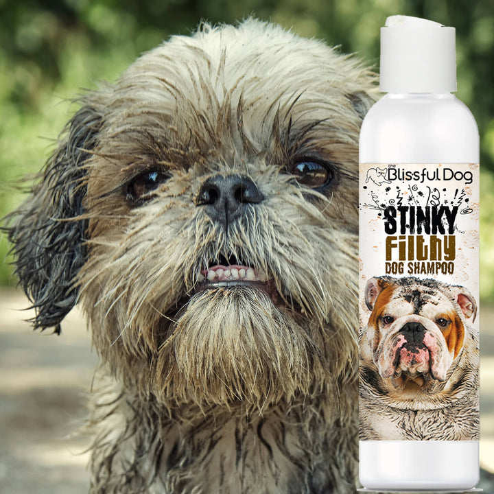 Blissful Dog - Stinky Filthy Shampoo