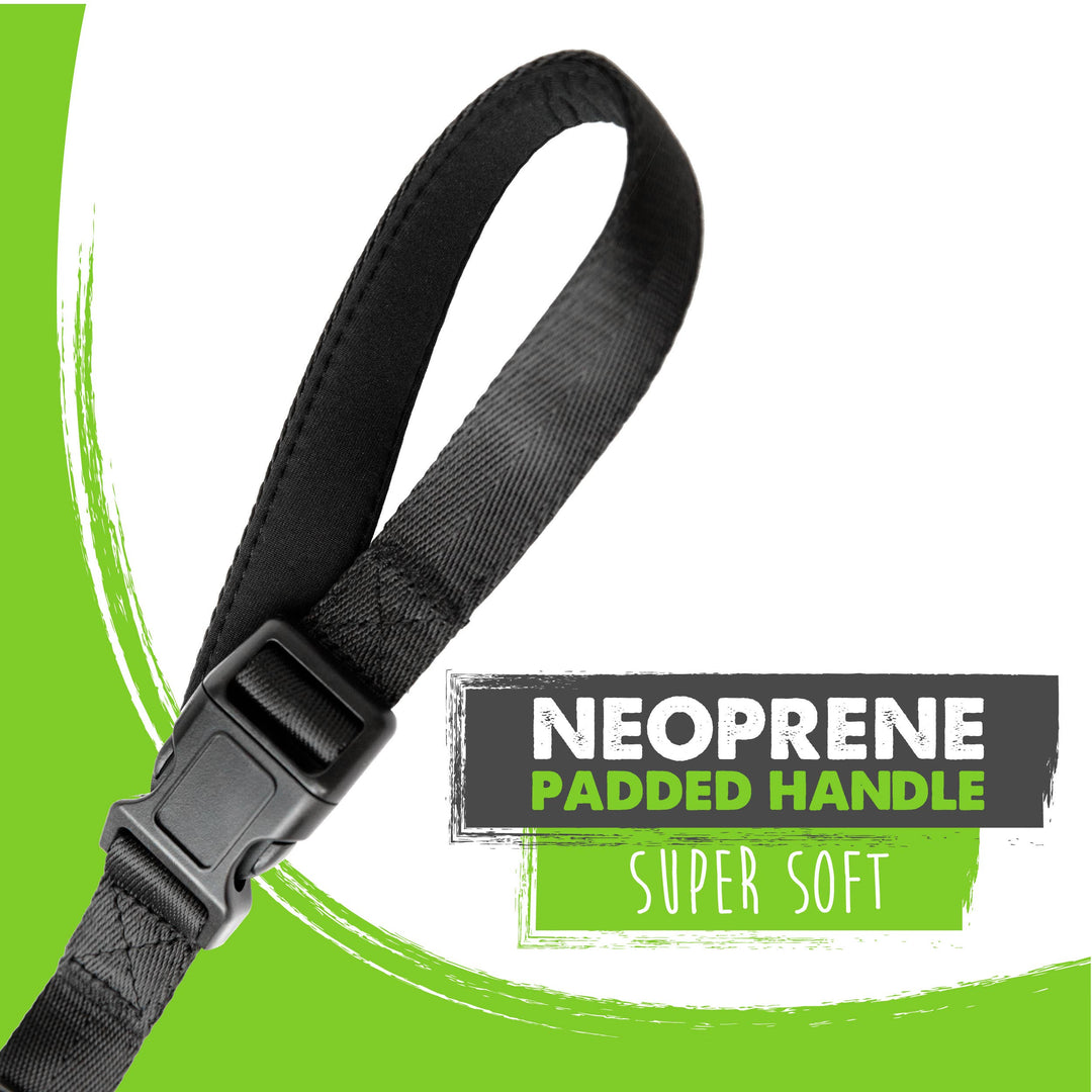 Long Dog Leash: 15 feet