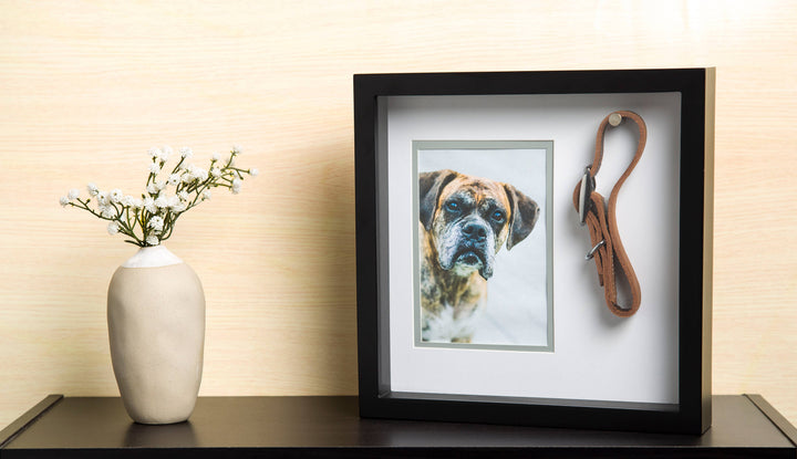 Pet Collar Picture Frame, Black
