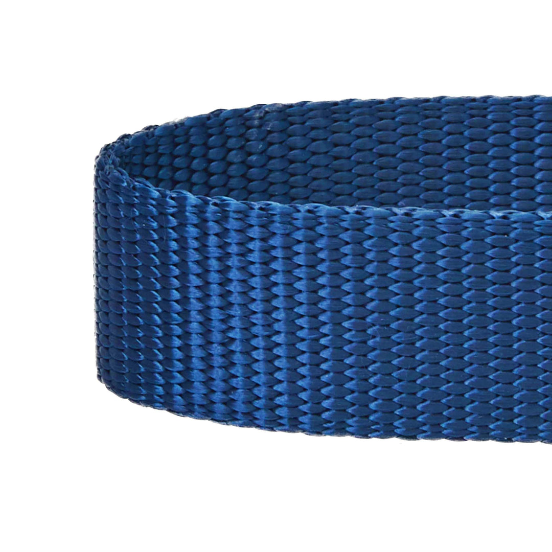 Blueberry Pet Martingale - True Navy - SM