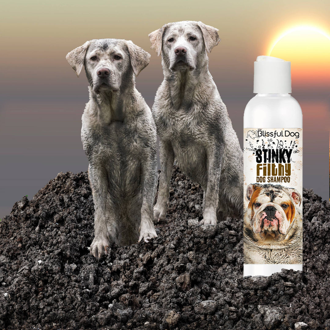 Blissful Dog - Stinky Filthy Shampoo