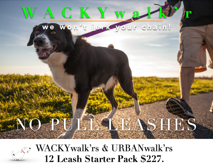 Wacky Walker - No Pull Leash - Large