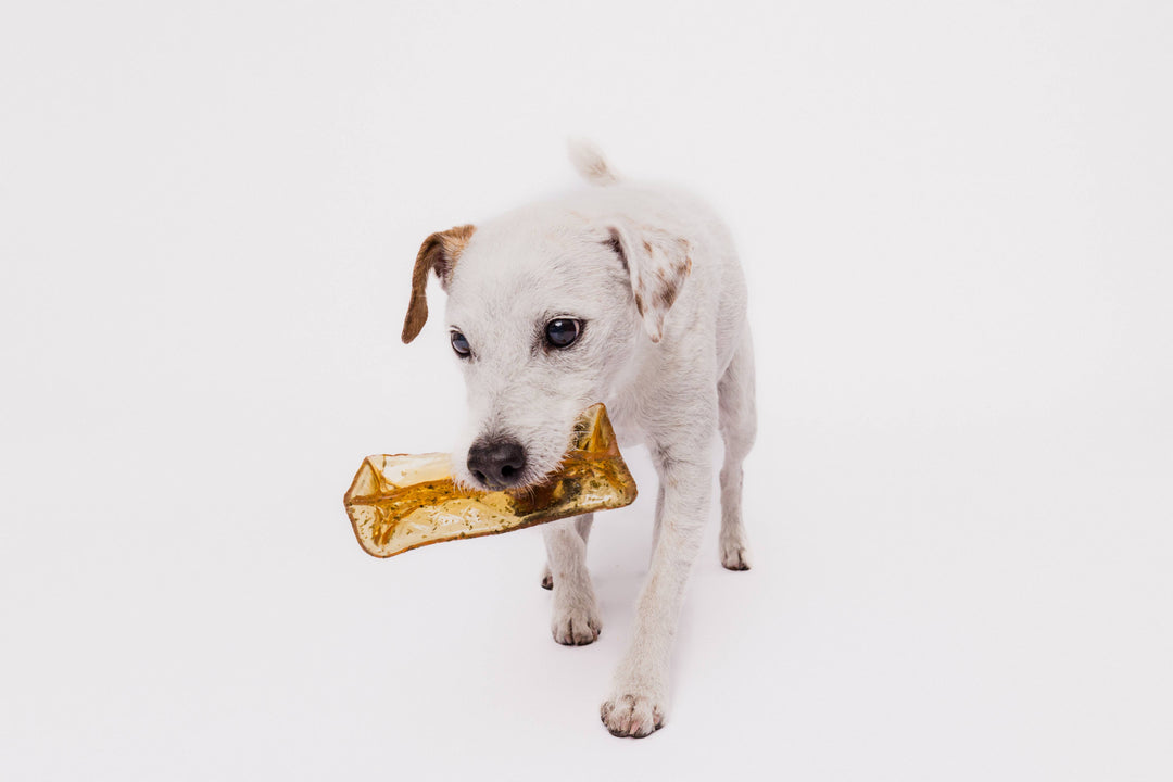 Mighty Marrows Collagen Dental Chew - Spirulina Beef - SM/LG: Large