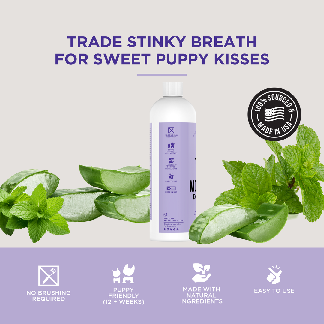 The Only Doggy Mouthwash Dogs Need: 16 ounce