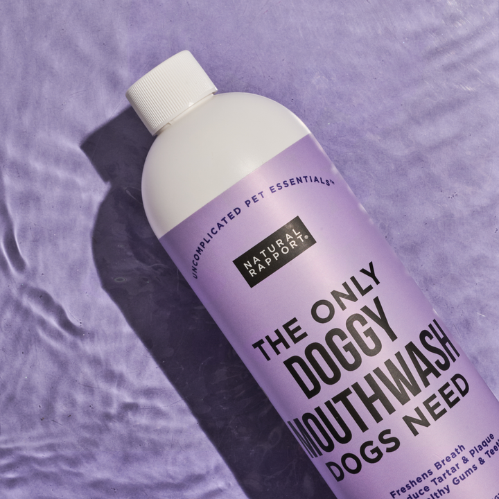 The Only Doggy Mouthwash Dogs Need: 16 ounce
