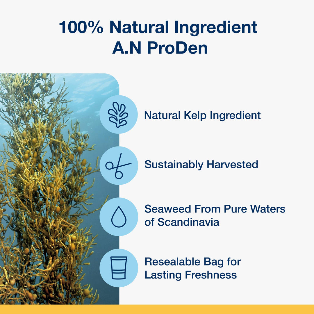 ProDen PlaqueOff® Dental Care Bones - Natural Bacon