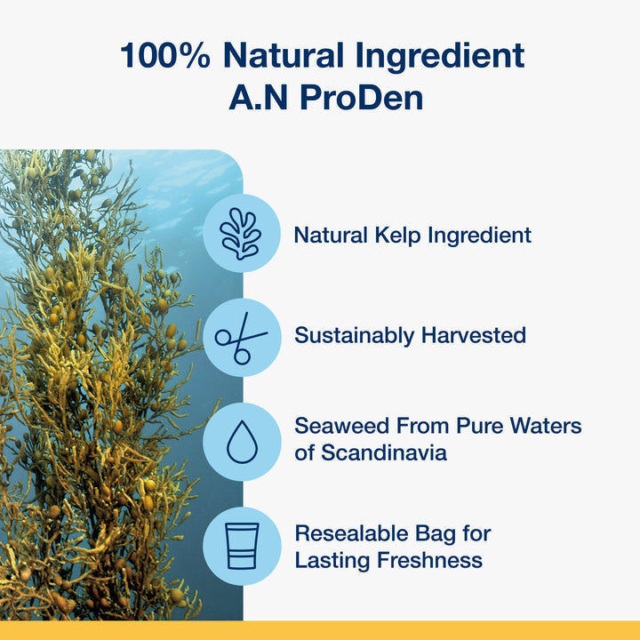 ProDen PlaqueOff® Dental Care Bones - Vegetable Fusion