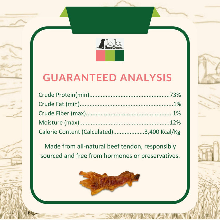 All-Natural Jumbo Beef Y Tendon Chew for Dogs - 6"–9" Inches