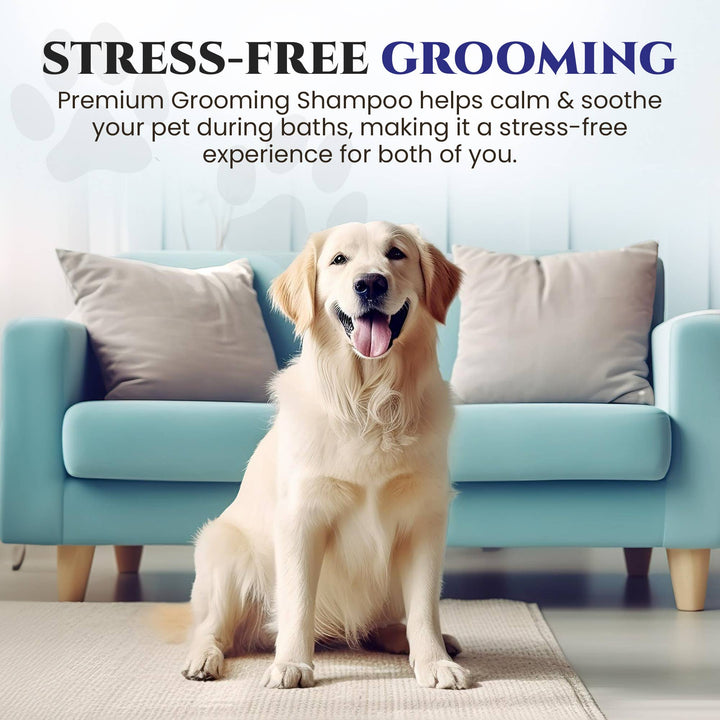 Premium Blue Ribbon Shampoo Deodorizer