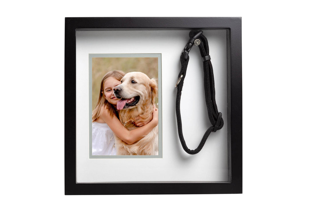 Pet Collar Picture Frame, Black